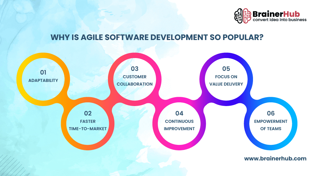 Why Agile Software Development is so Popular